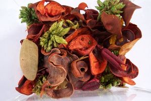 Food Dehydrator – To Buy or Not To Buy?